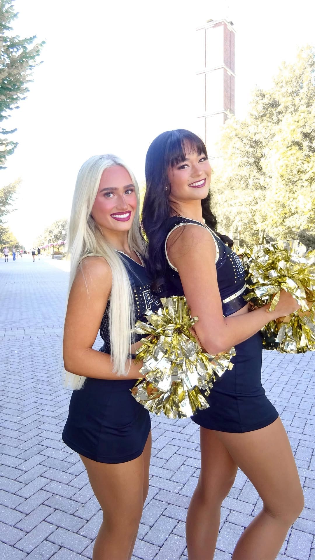 Post 1 by Ashley Welt on Instagram (video)