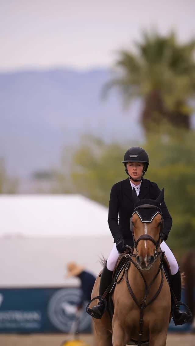 Post 1 by Alora Sporthorses on Instagram (video)