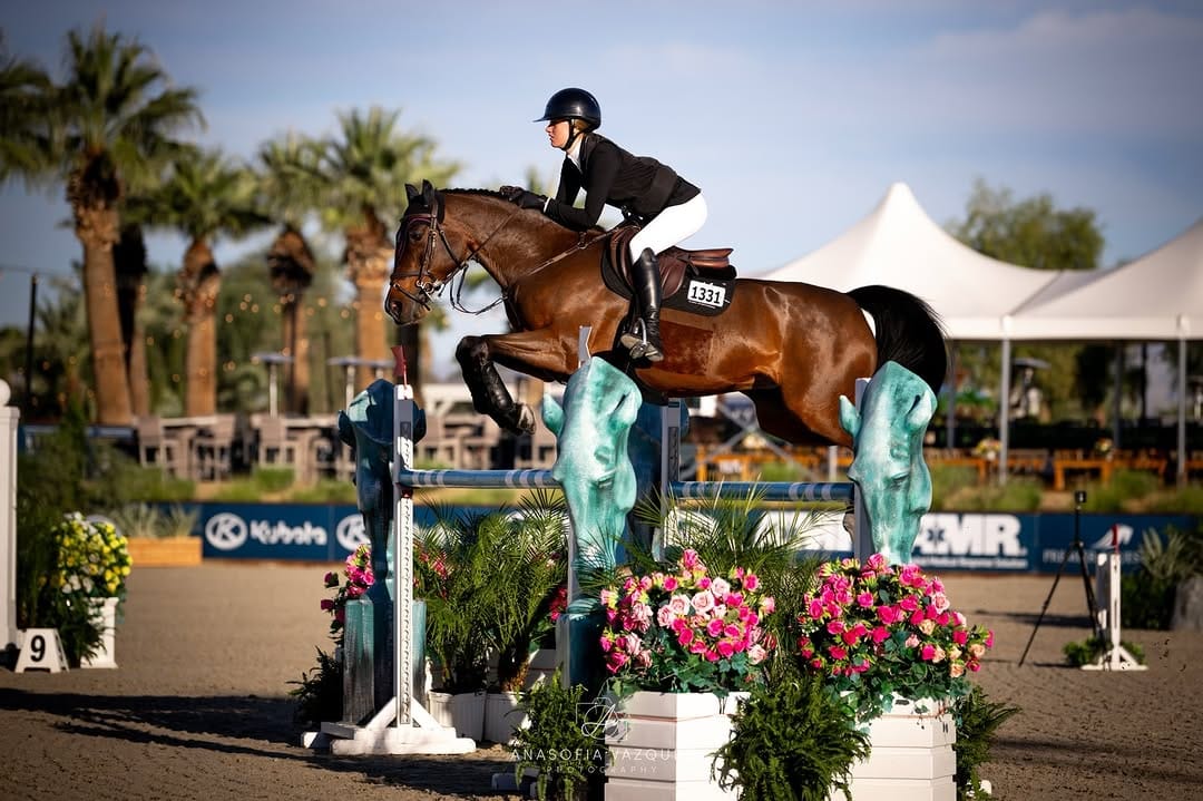 Post 2 by Alora Sporthorses on Instagram (carousel)