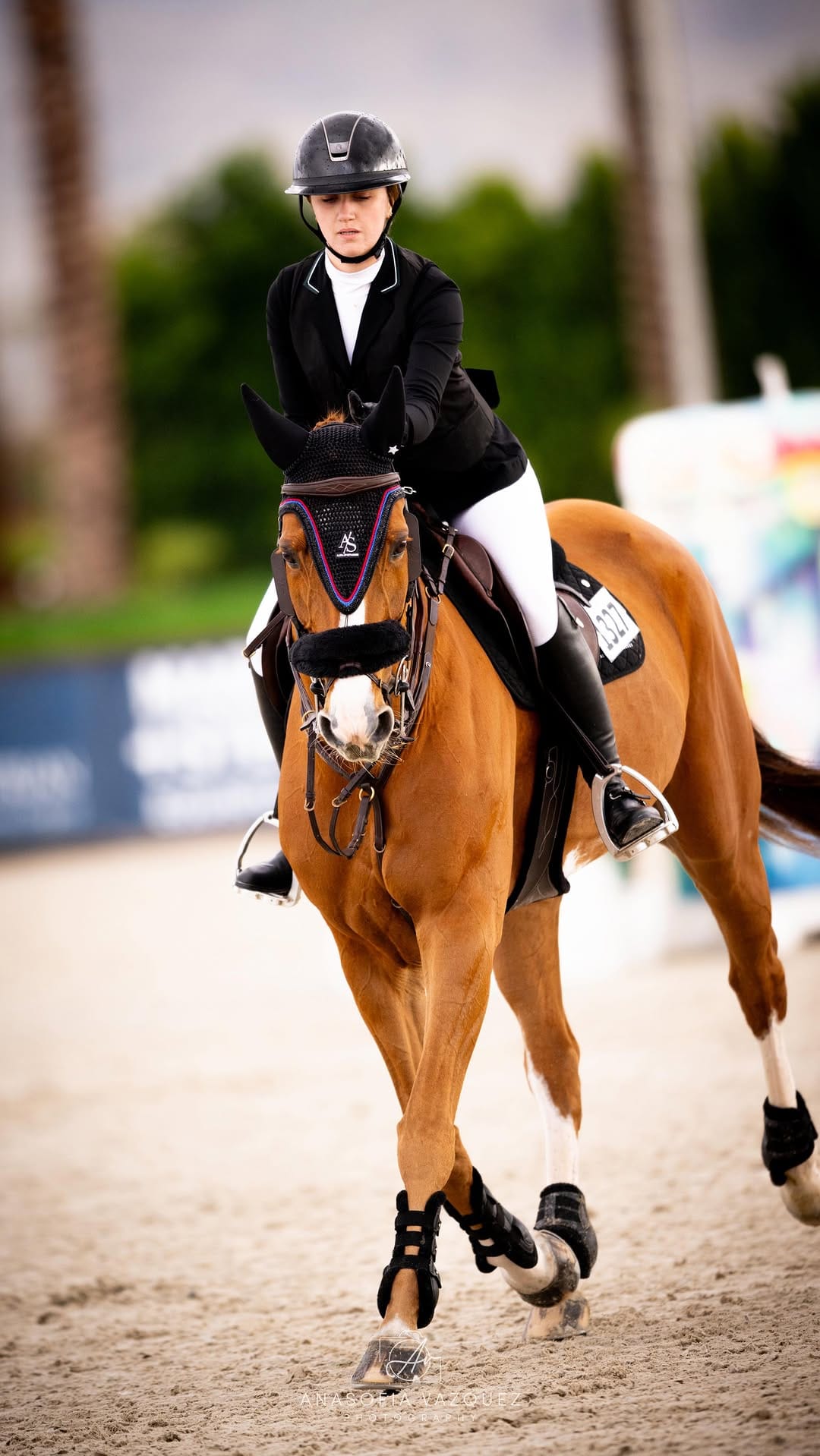 Post 4 by Alora Sporthorses on Instagram (video)