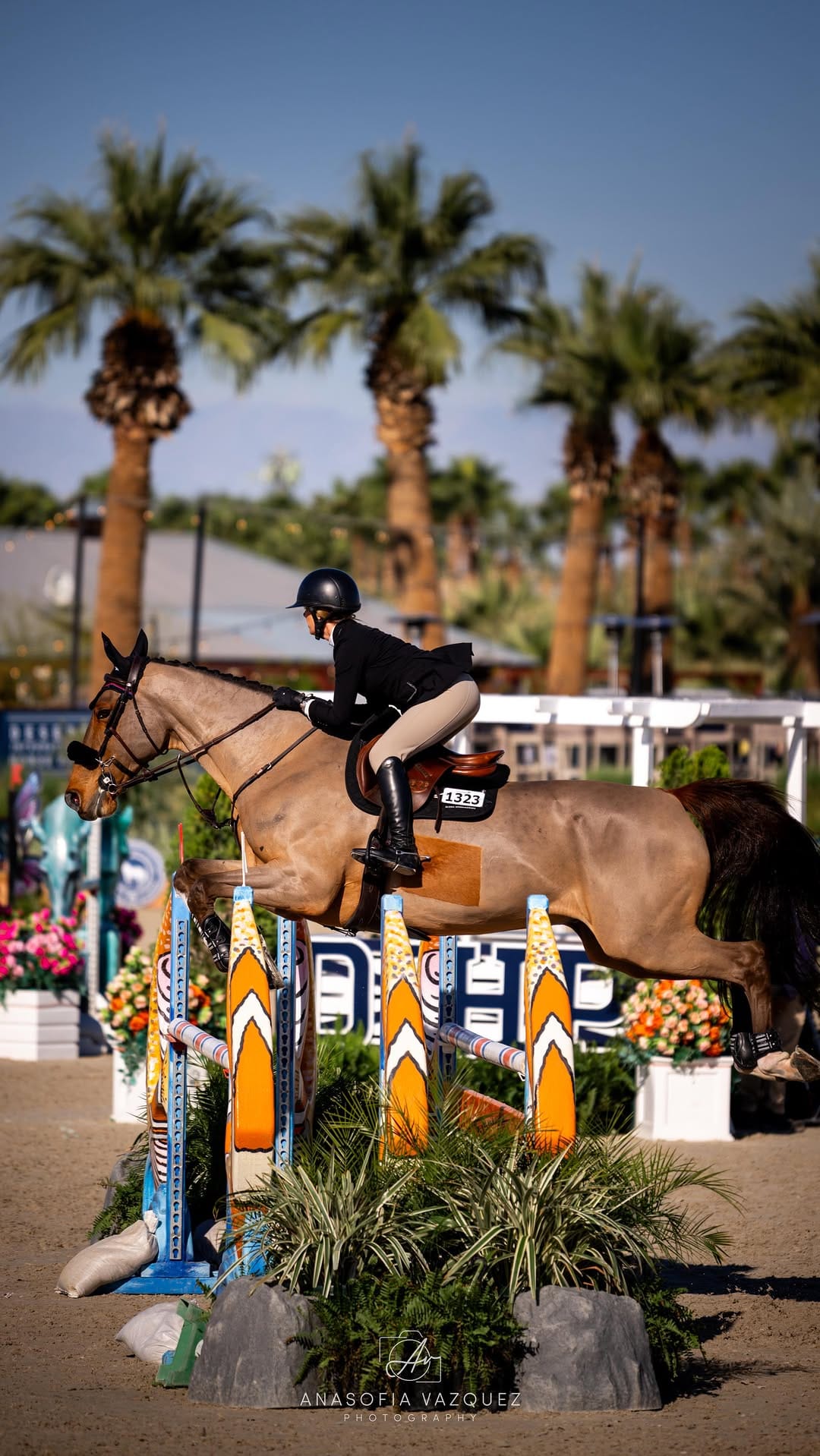 Post 3 by Alora Sporthorses on Instagram (video)