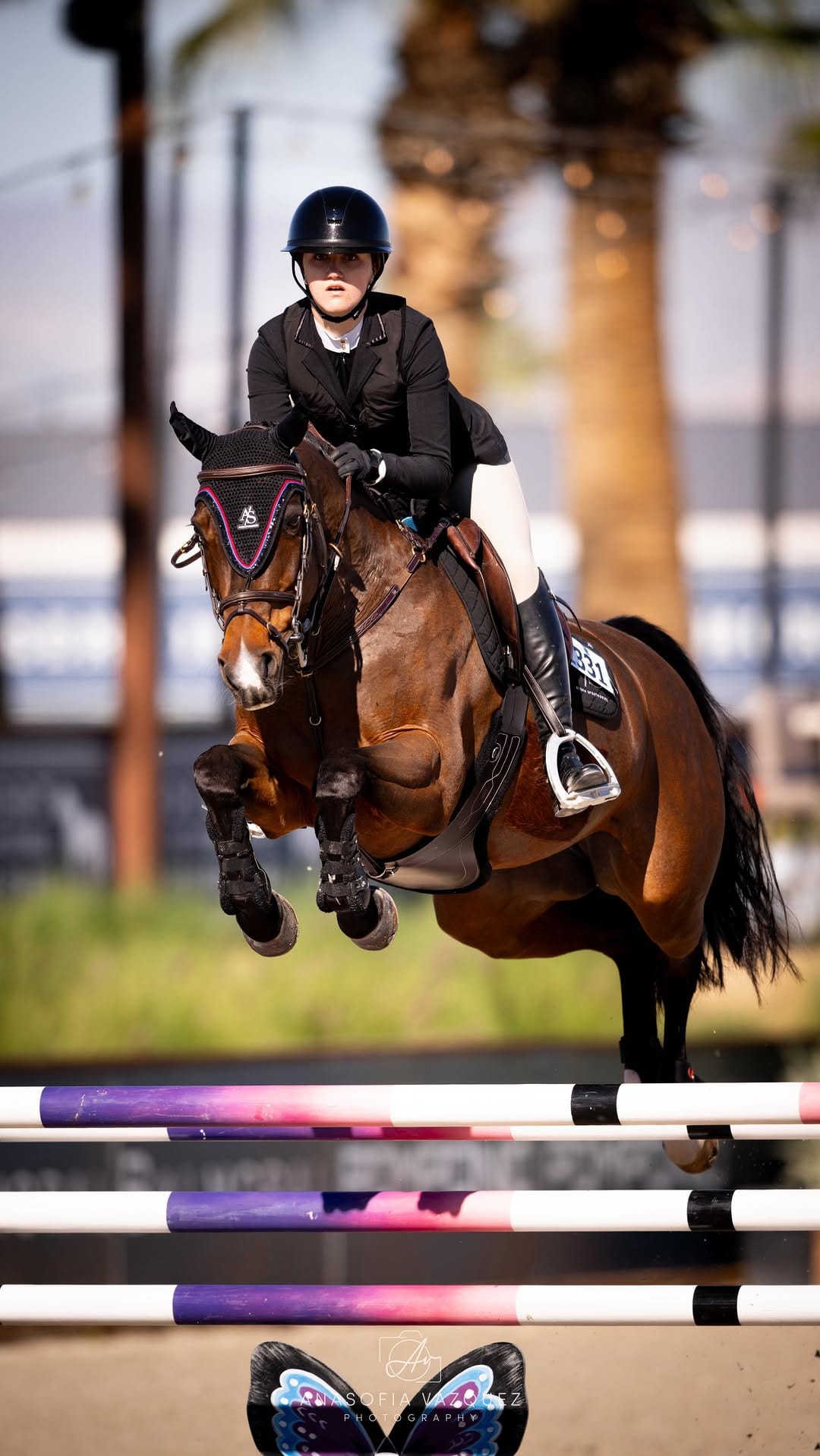 Post 10 by Alora Sporthorses on Instagram (video)