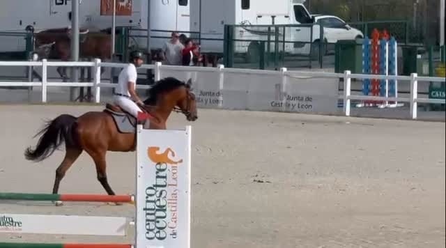 Post 6 by Lorenzo Pradas Freire on Instagram (video)
