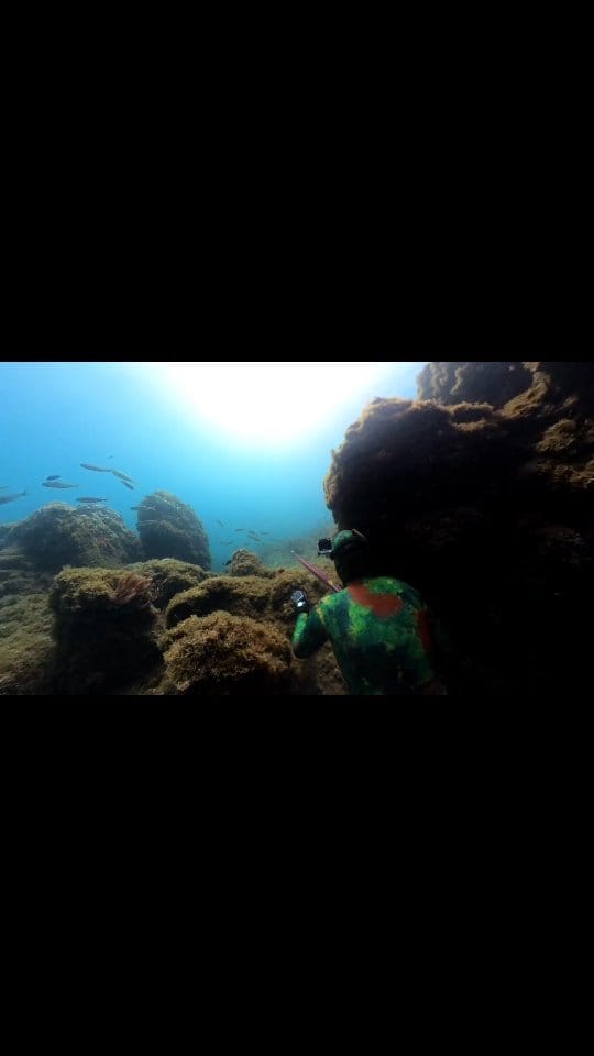 Post 7 by Pablo Sánchez Alonso on Instagram (video)