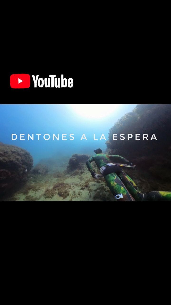 Post 9 by Pablo Sánchez Alonso on Instagram (video)
