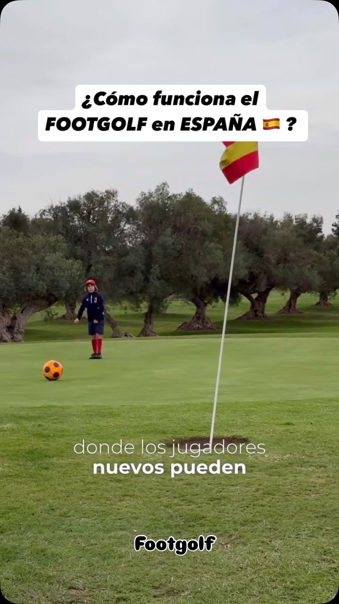 Post 9 by C.Calvo on Instagram (video)