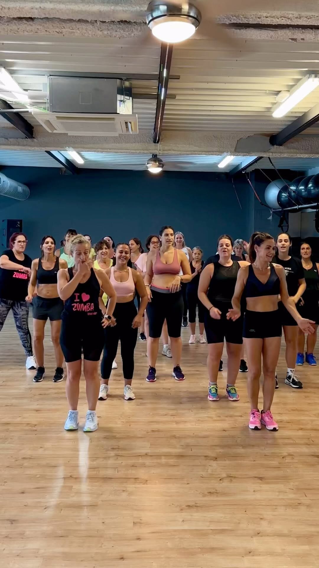 Post 9 by Fanny Lopez Pozo on Instagram (video)