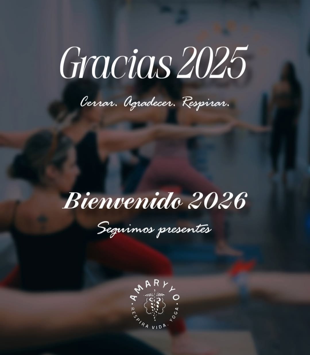 Post 9 by Amaryyo Yoga y Yoga Aéreo on Instagram (image)