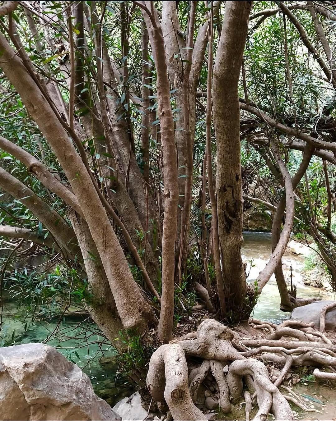 Post 6 by Espacio Kendra 🪷 Kundalini•Tantra•Meditación•Terapias holísticas on Instagram (image)