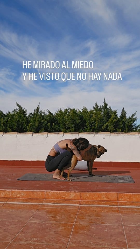 Post 10 by ⇴ Siadoru ☾ • 𝚈𝚘𝚐𝚊 ▽ on Instagram (video)