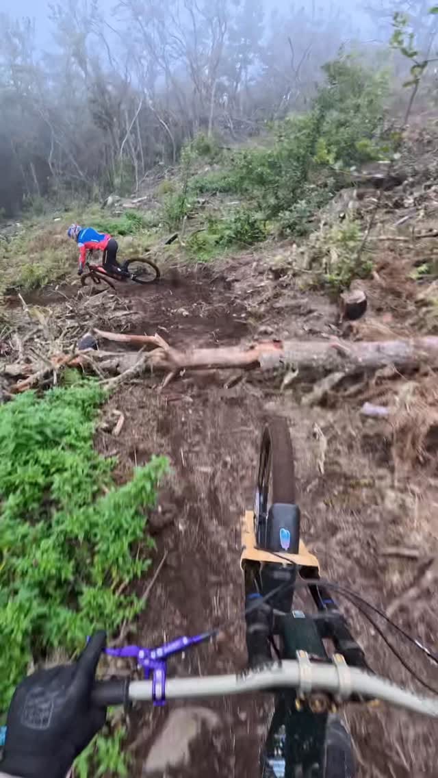 Post 9 by ALEX MARIN on Instagram (video)