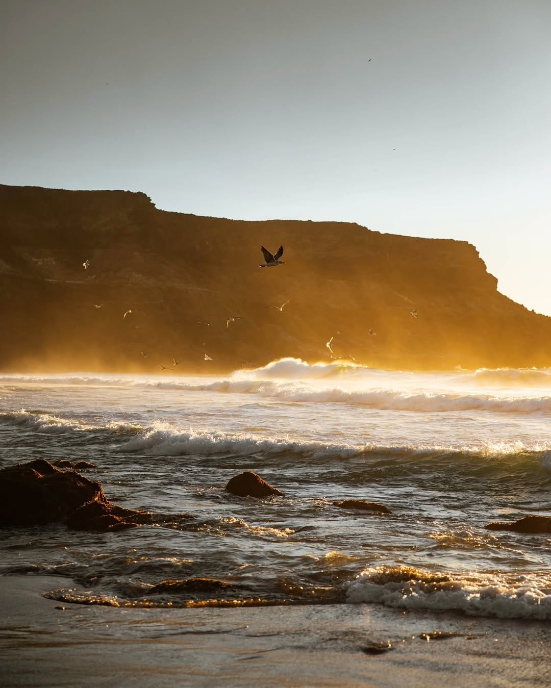 Post 5 by Surfescape Hotels | Fuerteventura, Sri Lanka & Zanzibar on Instagram (carousel)
