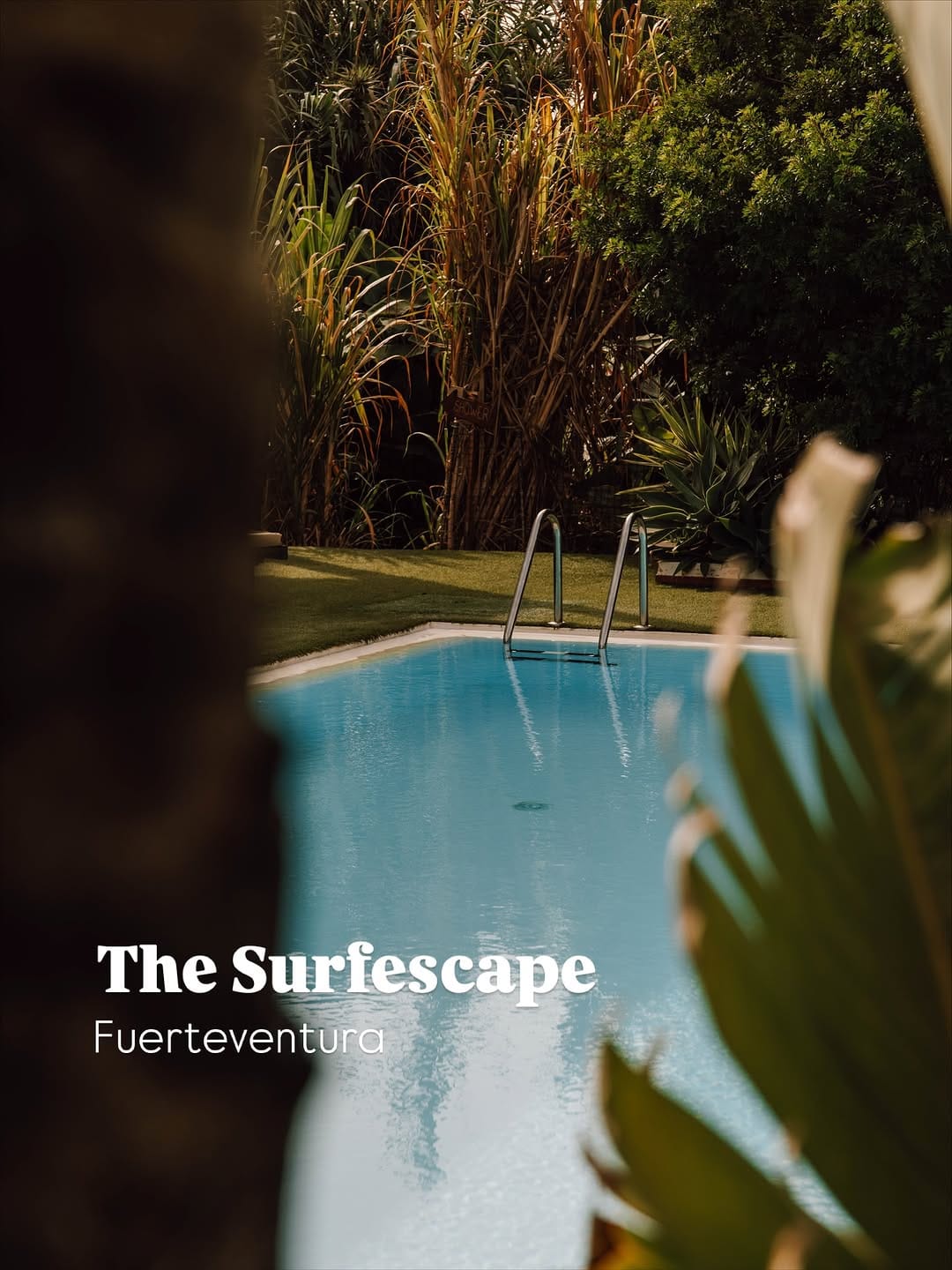 Post 7 by Surfescape Hotels | Fuerteventura, Sri Lanka & Zanzibar on Instagram (carousel)