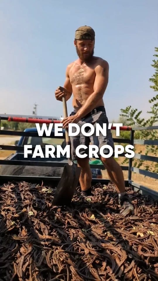 Post 2 by Danyadara on Instagram (video)