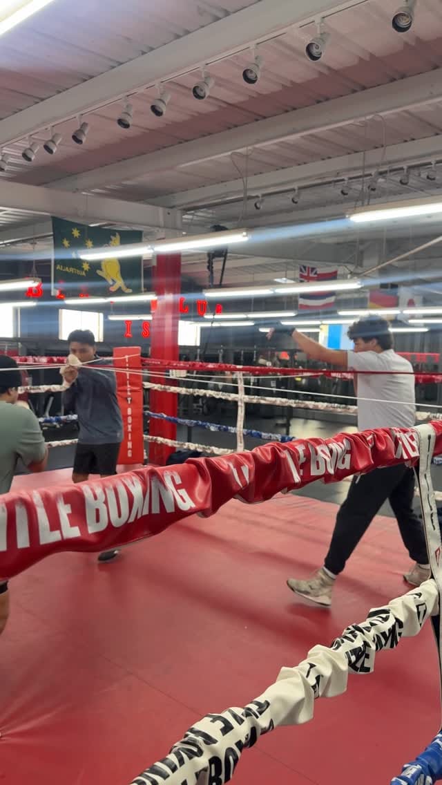 Post 8 by Rhinos Boxing Gym on Instagram (video)
