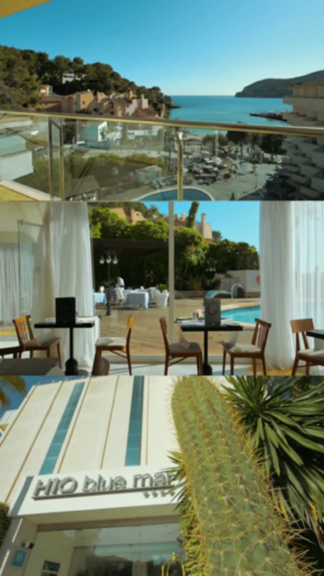 Post 1 by Mallorca Bjj And Yoga Festival on Instagram (video)