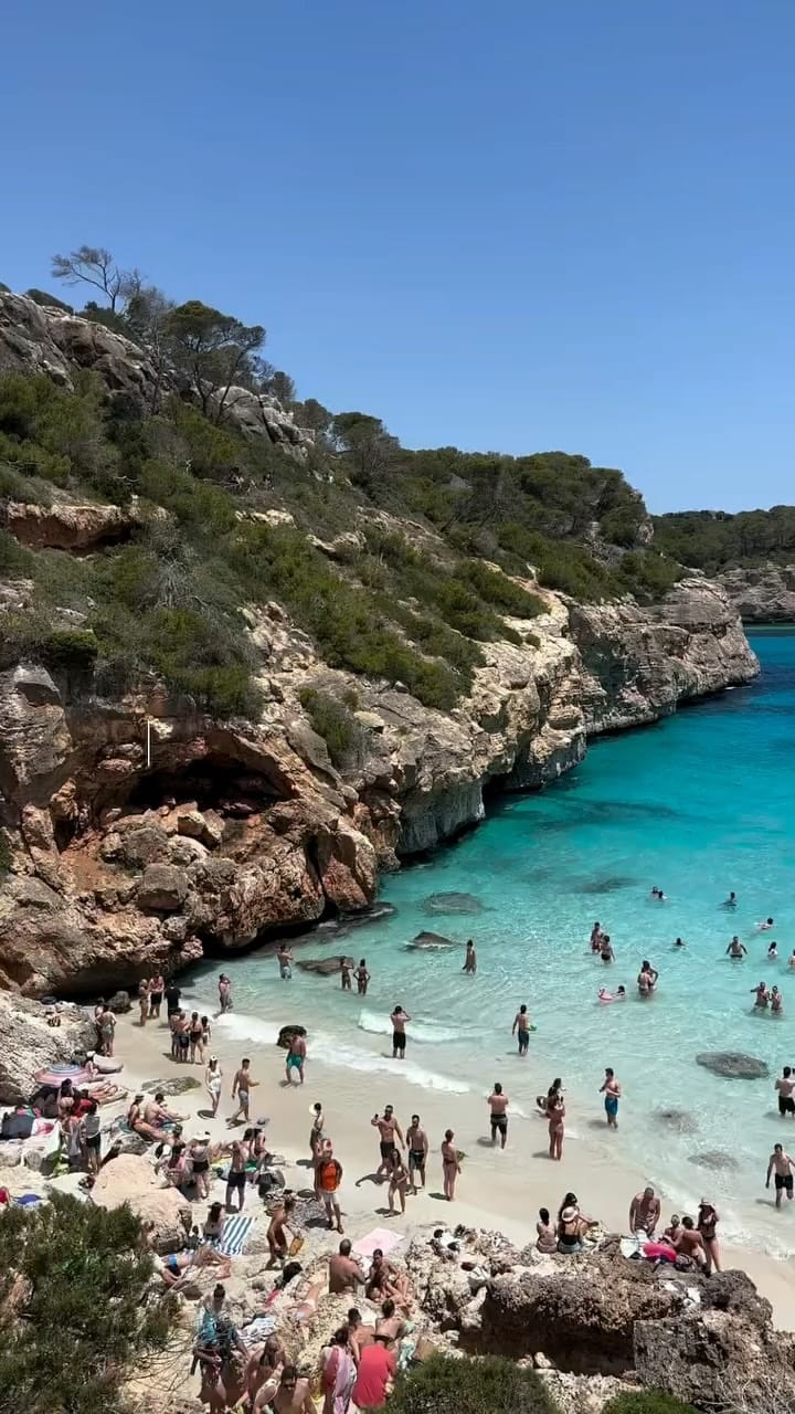 Post 2 by Mallorca Bjj And Yoga Festival on Instagram (video)