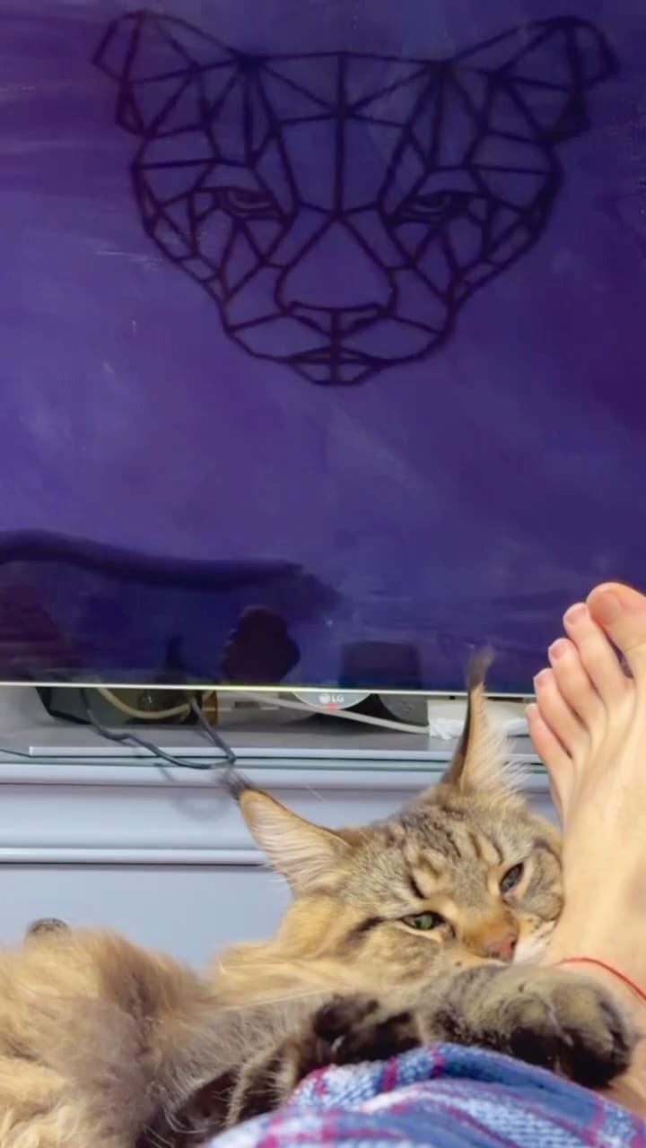 Post 1 by Gianmarco 🐅 🐯 on Instagram (video)