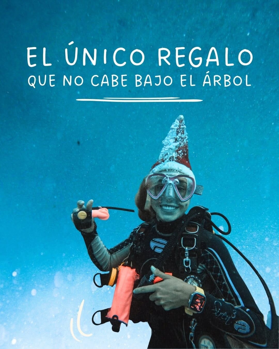 Post 9 by Lankast Experiences 🧜🏻‍♀️ | Buceo en Cartagena 🤿 on Instagram (carousel)