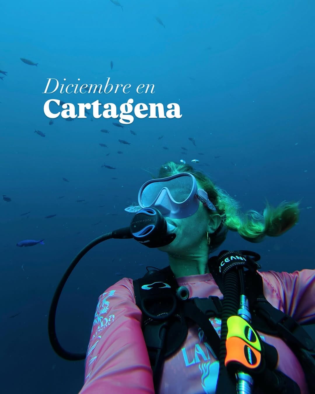 Post 4 by Lankast Experiences 🧜🏻‍♀️ | Buceo en Cartagena 🤿 on Instagram (carousel)