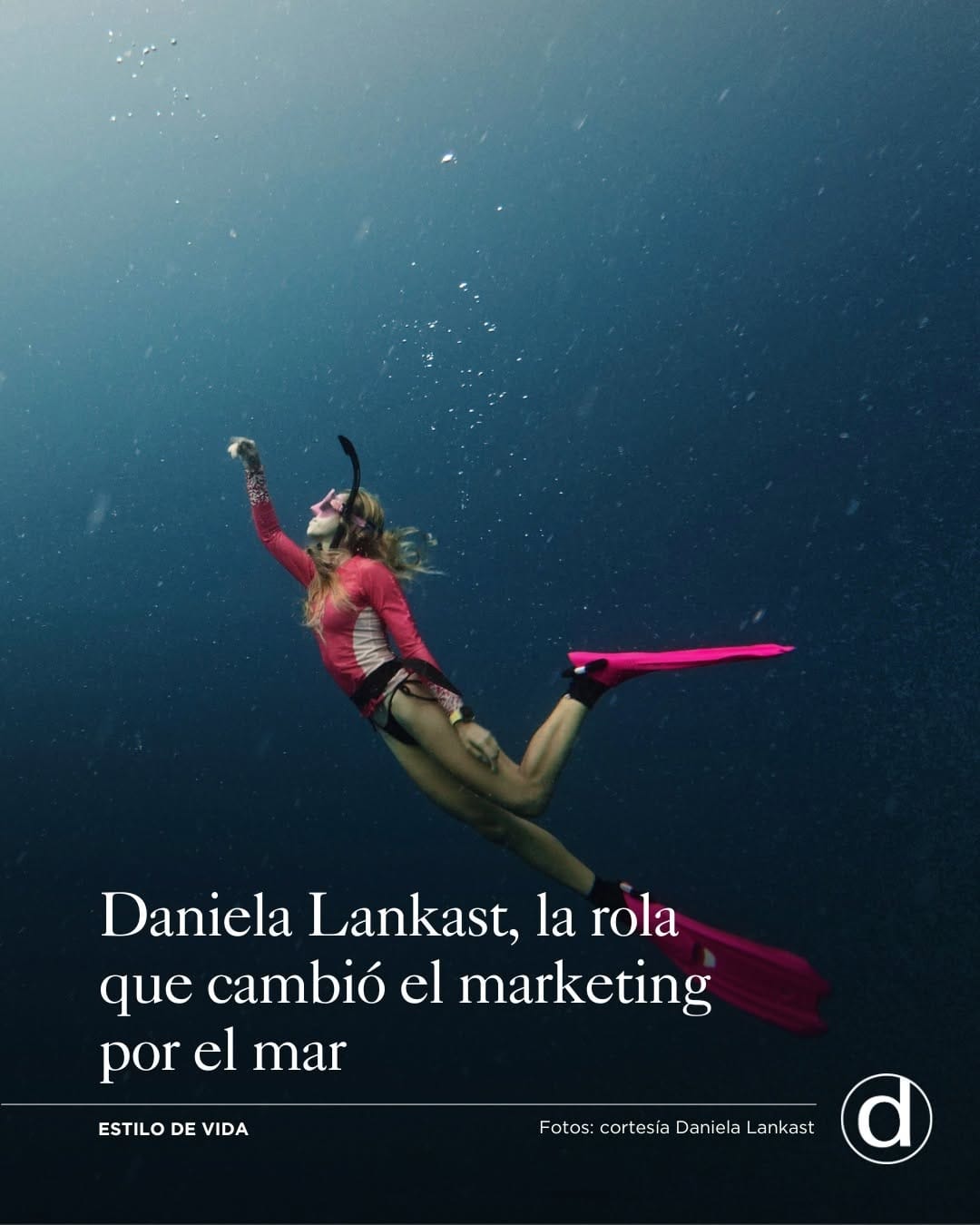 Post 10 by Lankast Experiences 🧜🏻‍♀️ | Buceo en Cartagena 🤿 on Instagram (carousel)