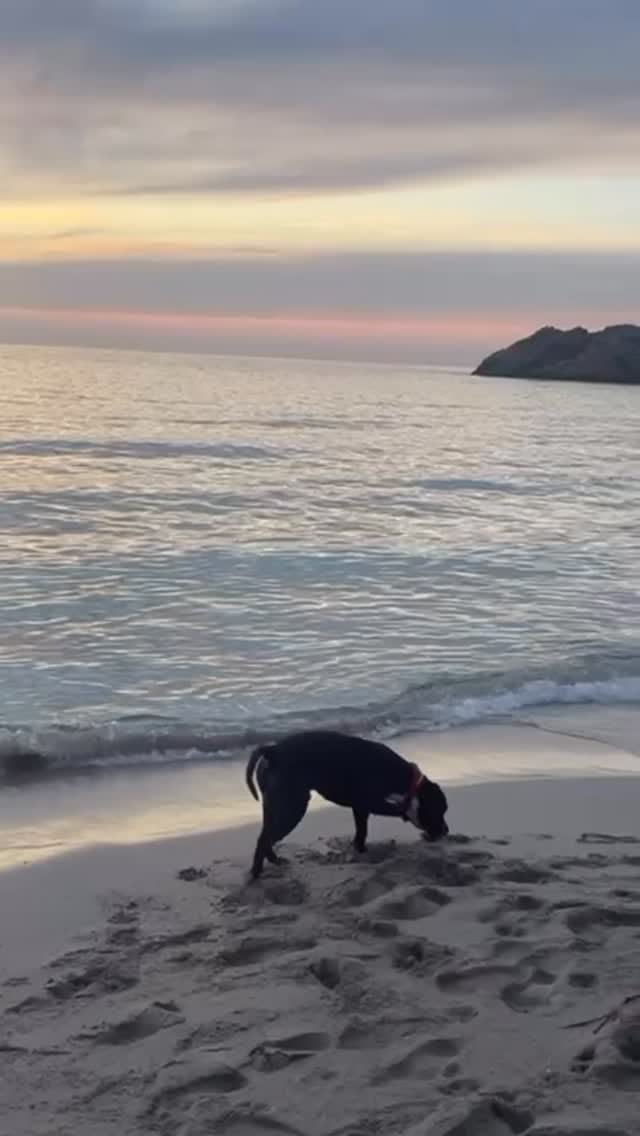 Post 4 by Ugo Reitano on Instagram (video)