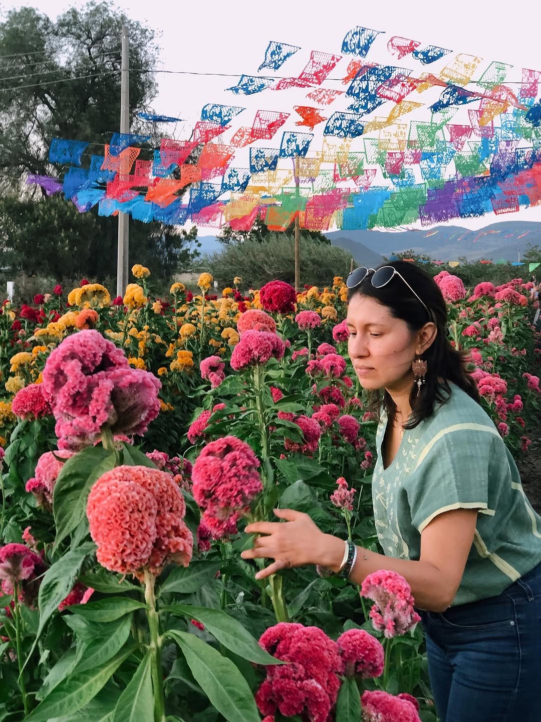 Post 4 by LILIANA DEL TORO on Instagram (carousel)