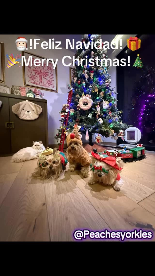 Post 7 by Jimenez Pack on Instagram (video)