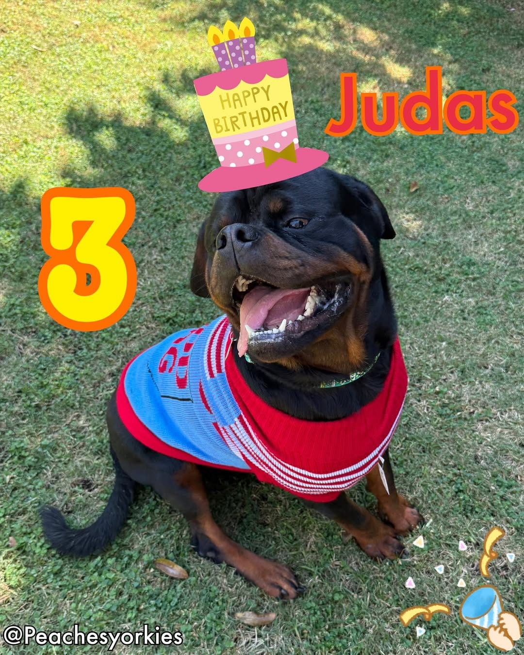 Post 9 by Jimenez Pack on Instagram (image)