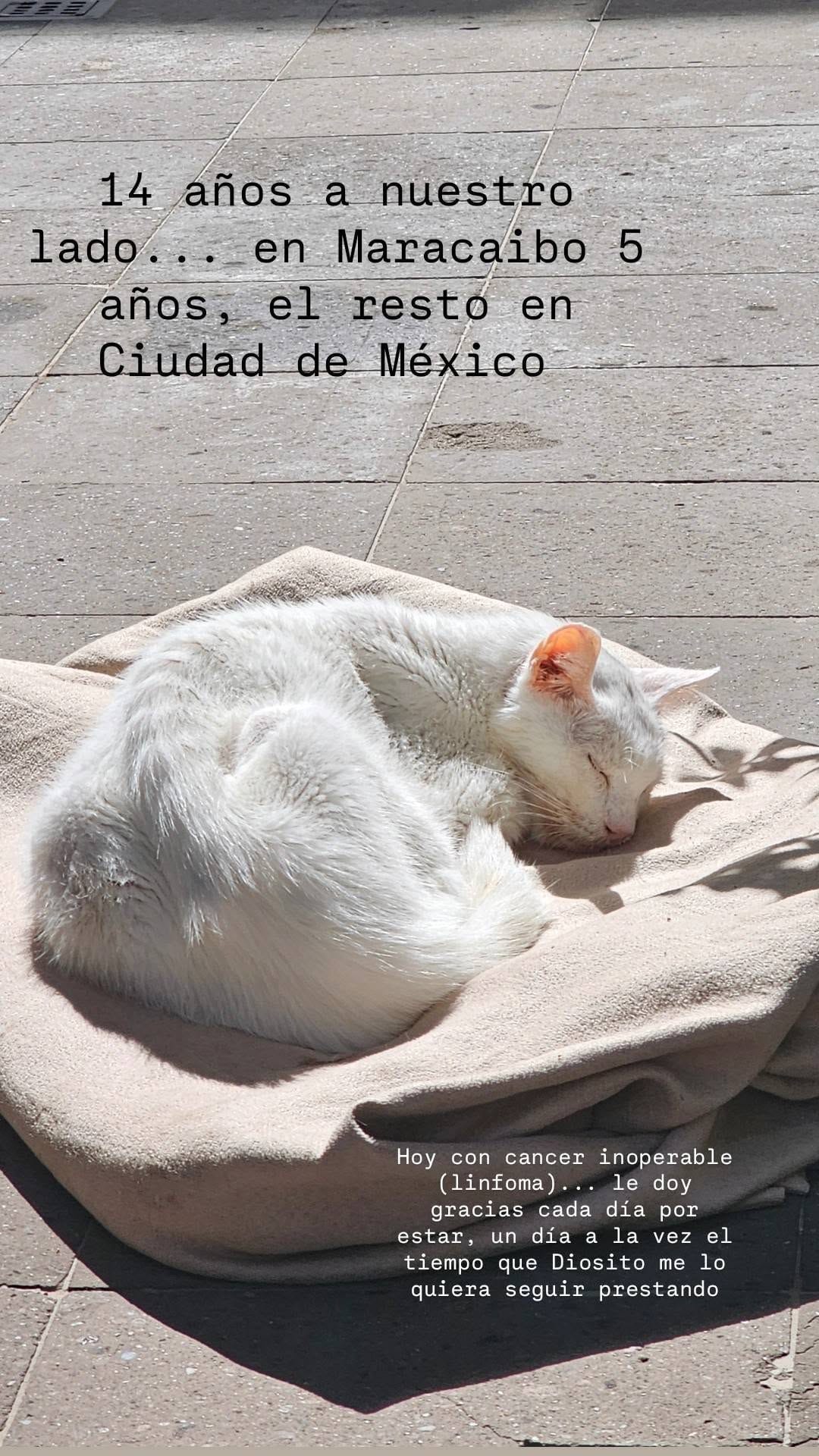 Post 4 by ⠀⠀⠀⠀⠀⠀⠀⠀⠀⠀⠀⠀⠀⠀⠀Nerys Diaz on Instagram (video)