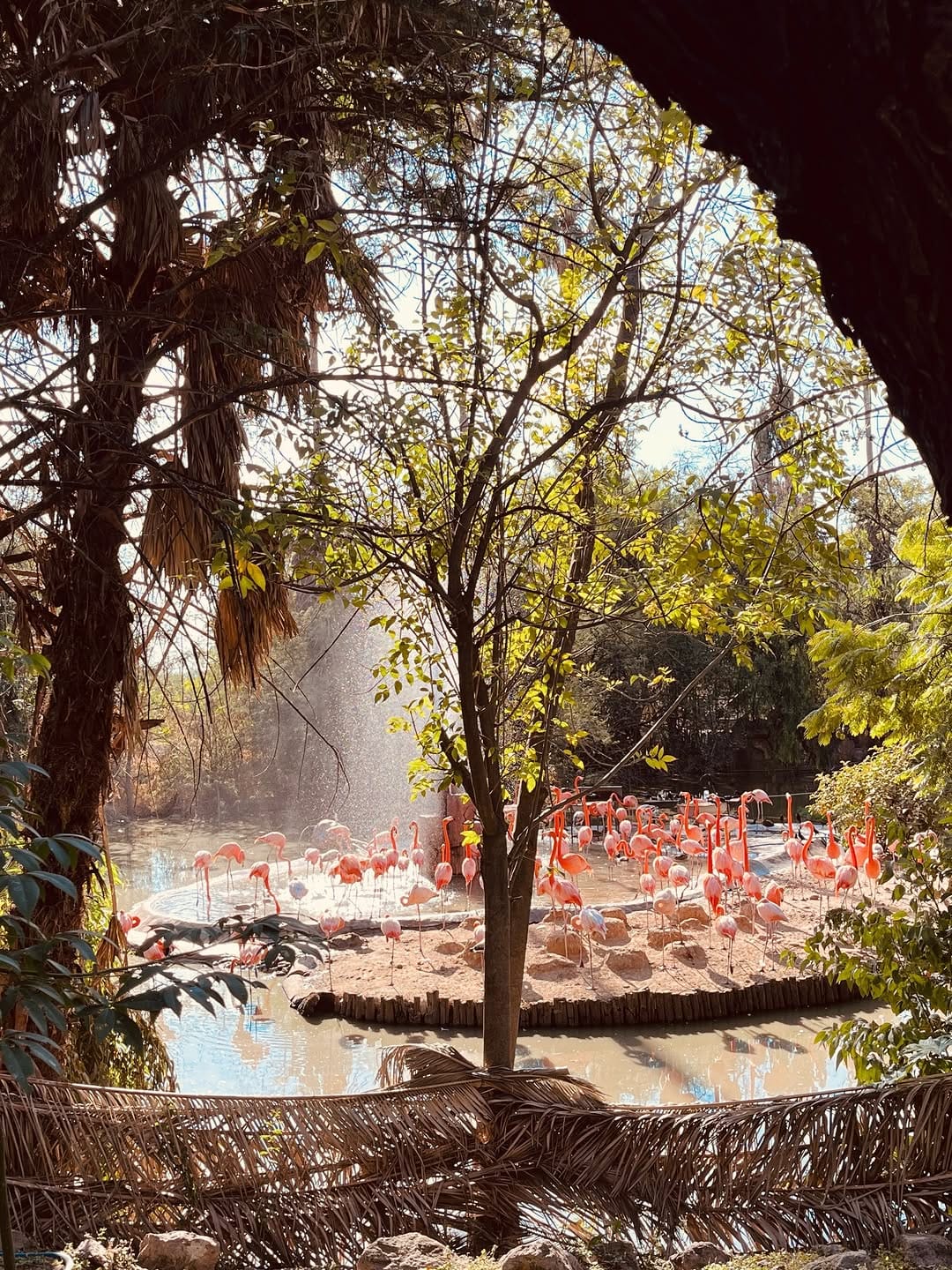Post 4 by Mich 🍓 on Instagram (carousel)