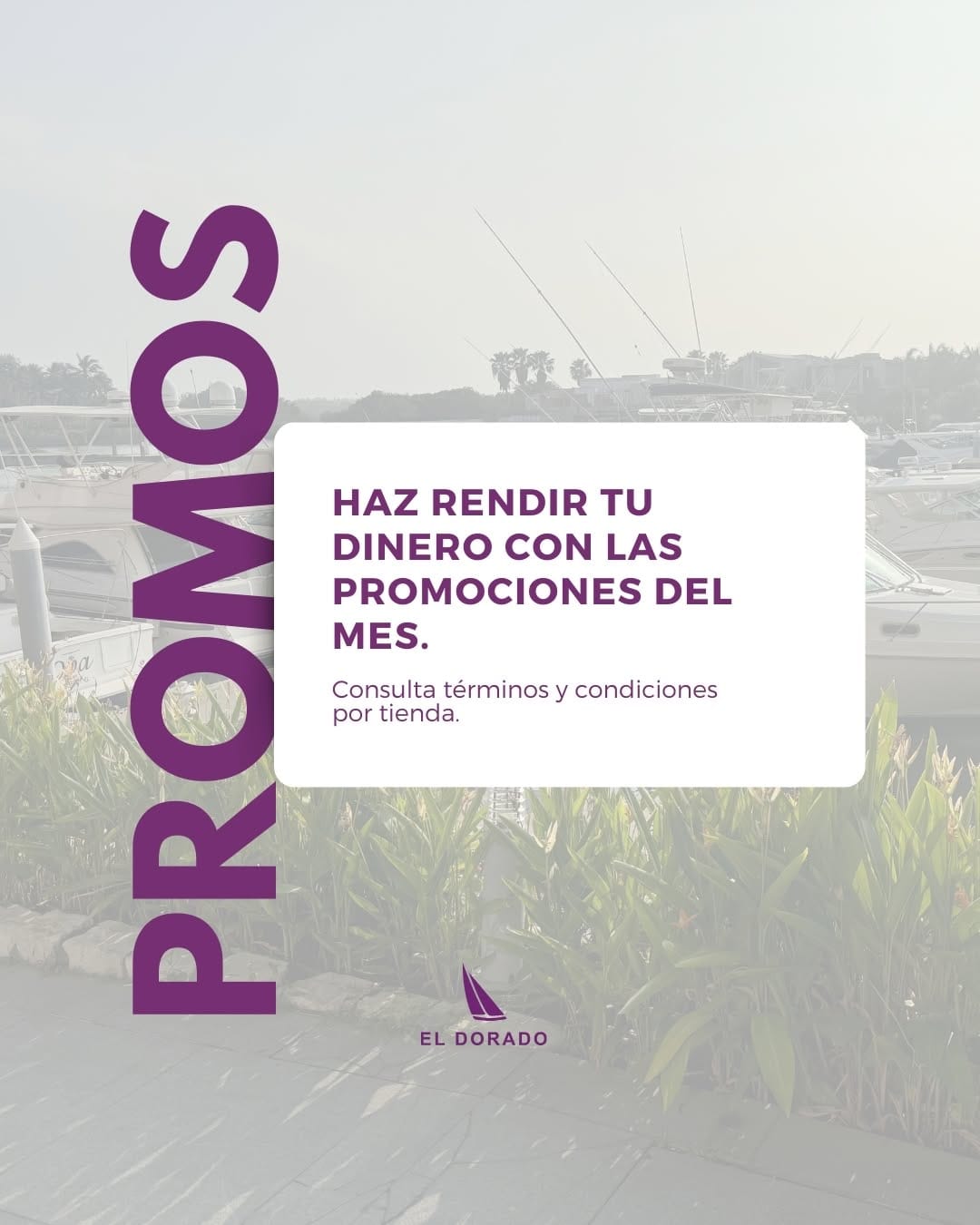 Post 4 by El Dorado Centro Comercial on Instagram (carousel)