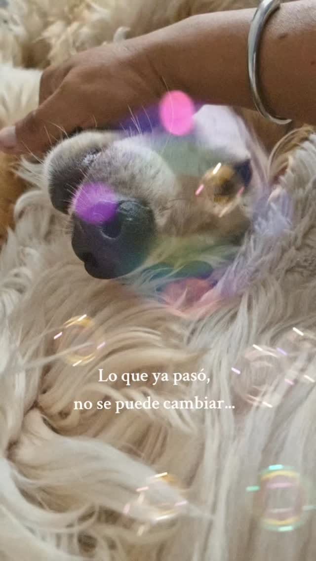 Post 4 by Kyara & Kabul Guapos Afganos on Instagram (video)