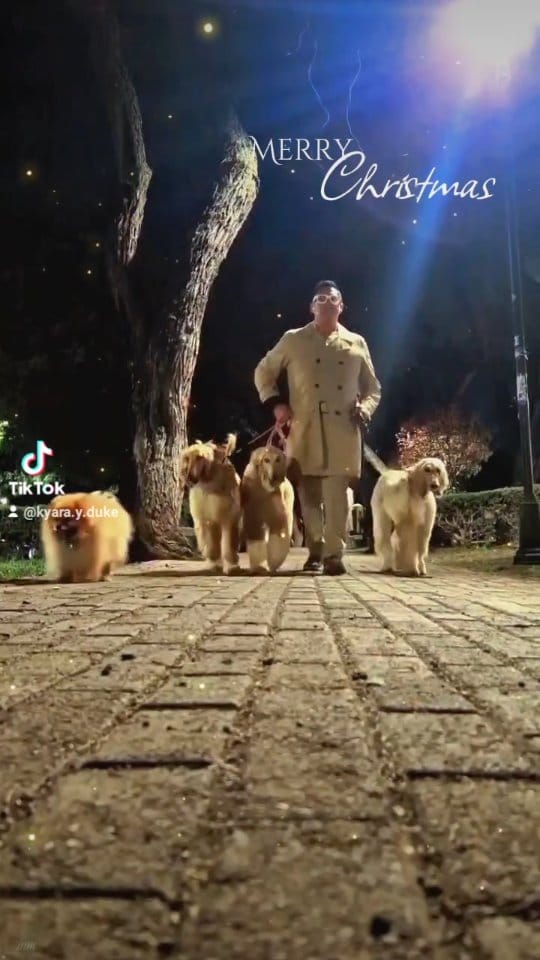 Post 3 by Kyara & Kabul Guapos Afganos on Instagram (video)