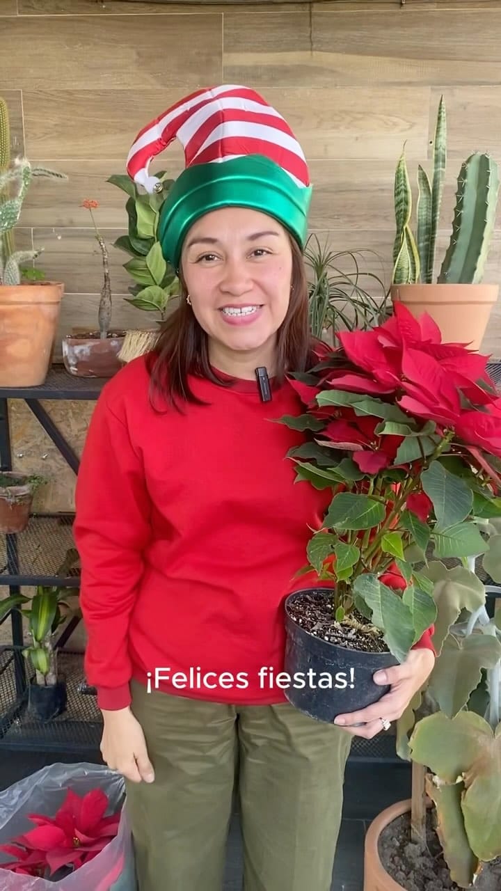 Post 1 by Plantas.House on Instagram (video)