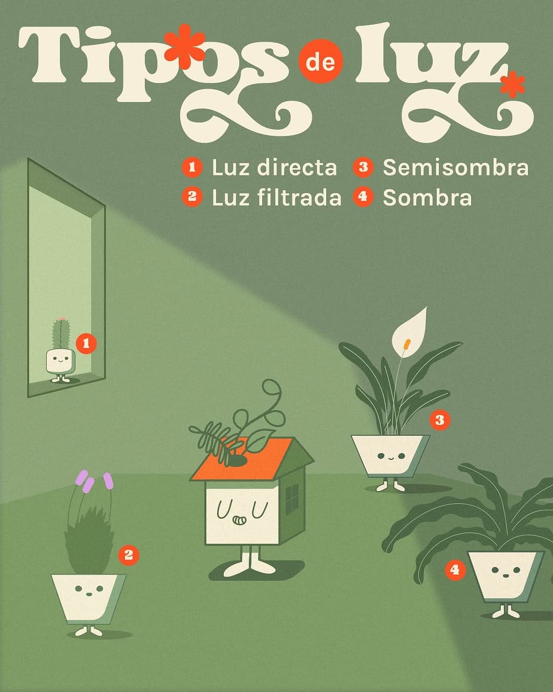 Post 10 by Plantas.House on Instagram (image)