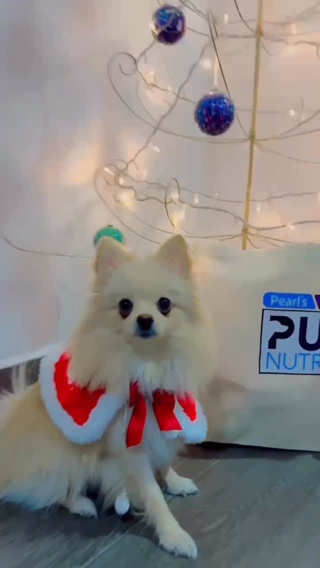 Post 9 by 𝔸ℕ𝕋𝕆ℕ𝔼𝕃𝕃𝔸    𝕋𝔸𝔻𝔻𝔼𝕐 on Instagram (video)
