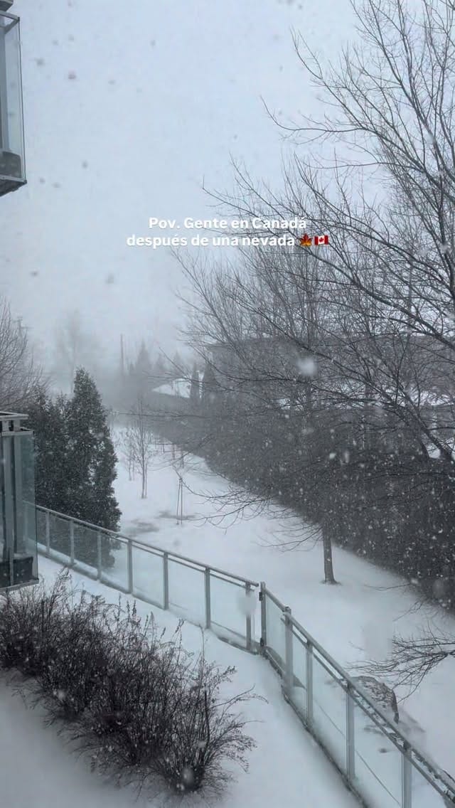 Post 1 by Maricarmen Alcocer on Instagram (video)
