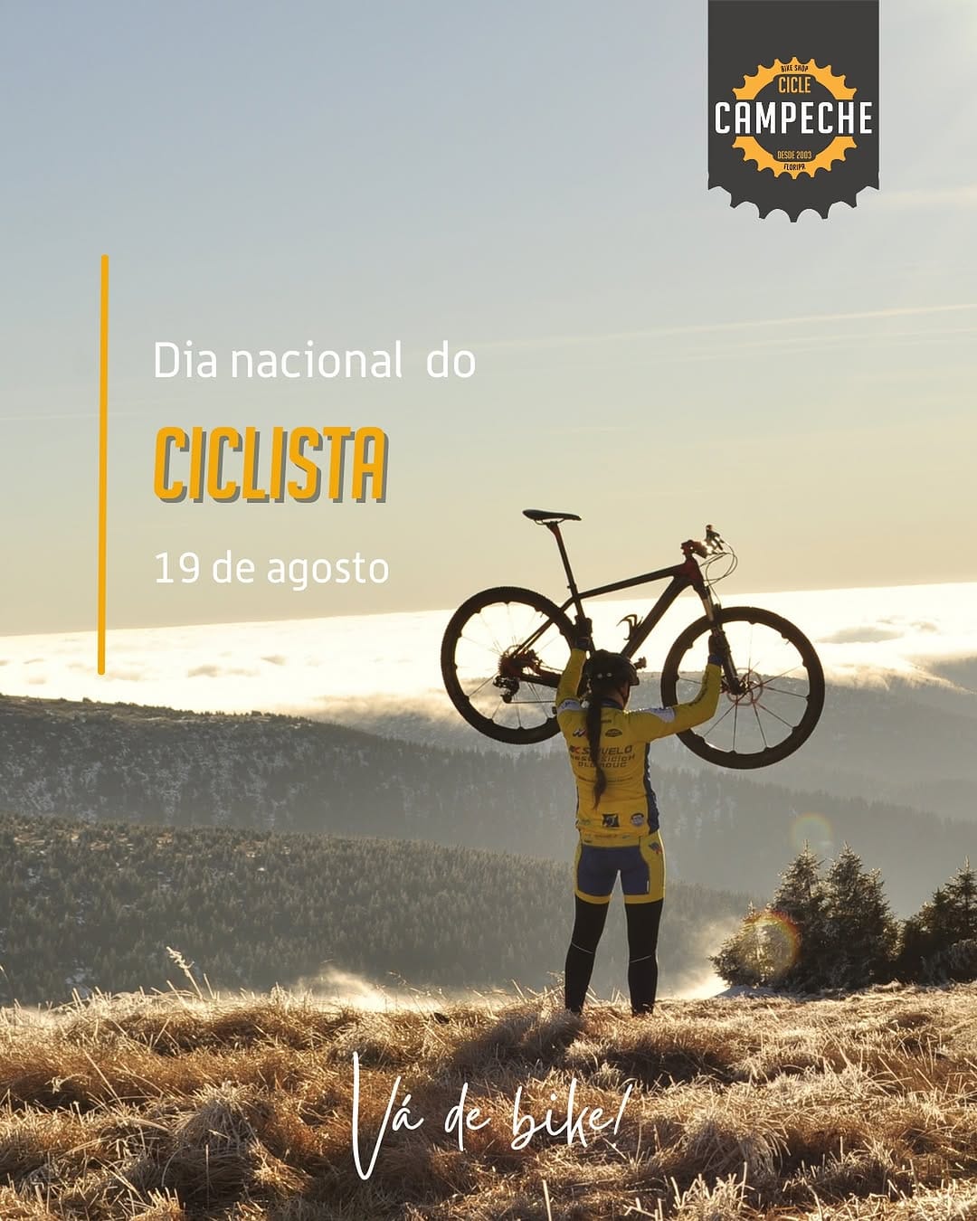 Post 7 by Cicle Campeche - Bike Shop Floripa on Instagram (image)
