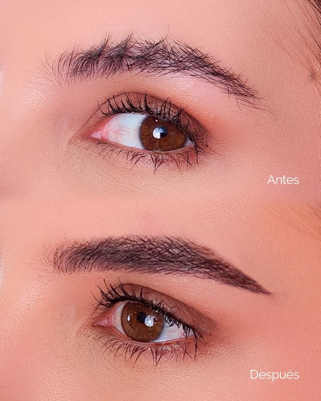 Post 1 by L A S H R O O M on Instagram (image)