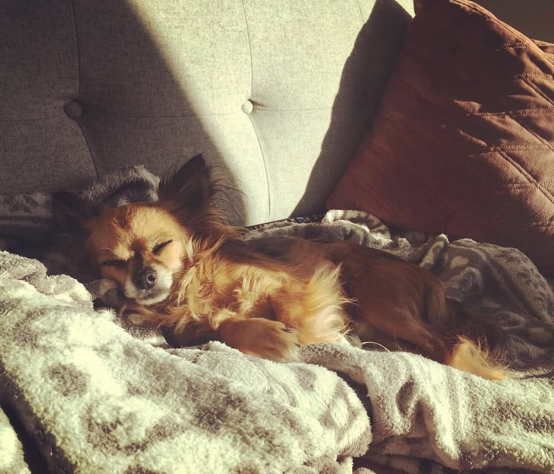 Post 7 by Puk on Instagram (image)