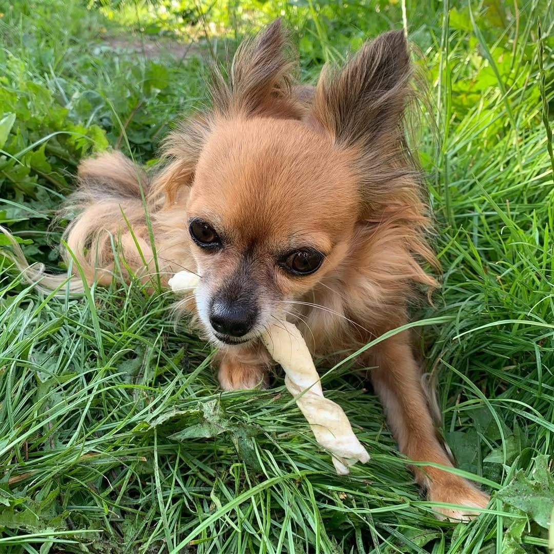 Post 4 by Puk on Instagram (image)