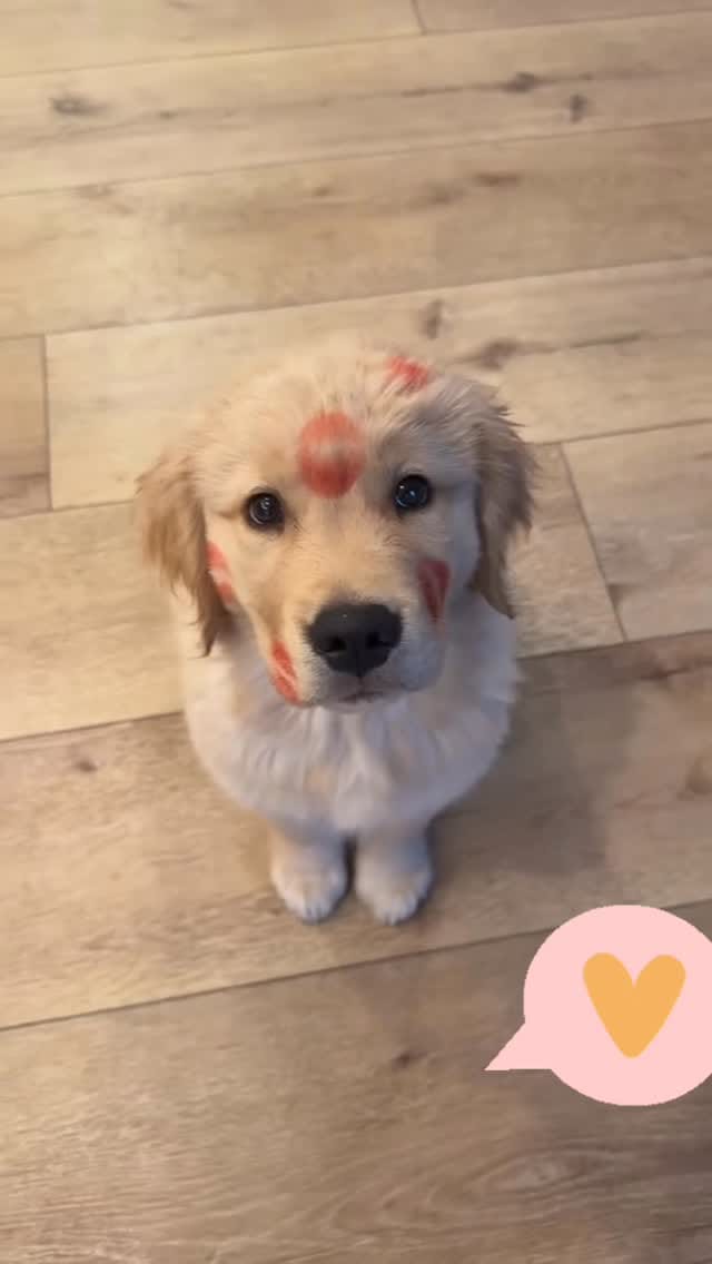 Post 1 by Buy2Mexico.com on Instagram (video)