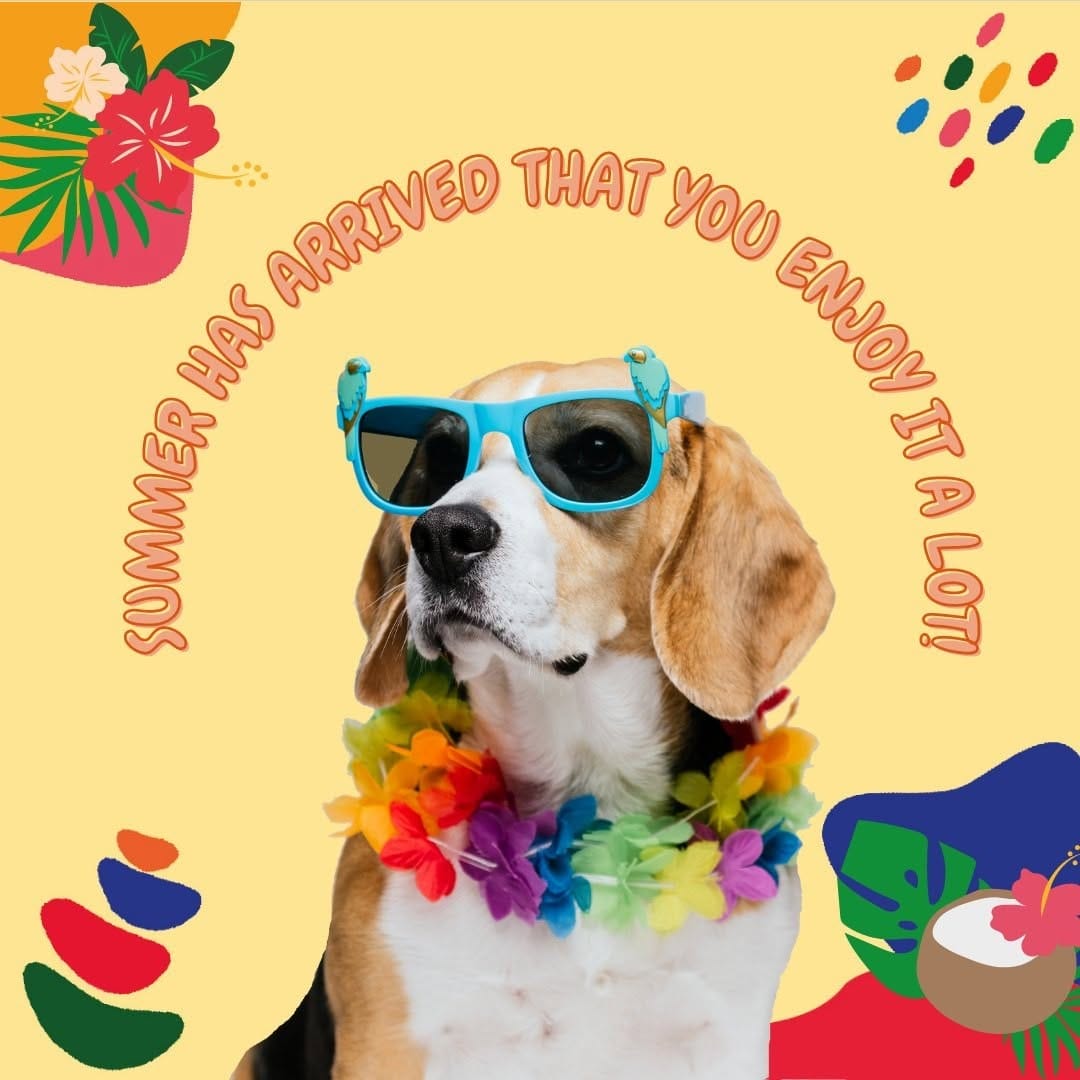 Post 10 by Buy2Mexico.com on Instagram (image)