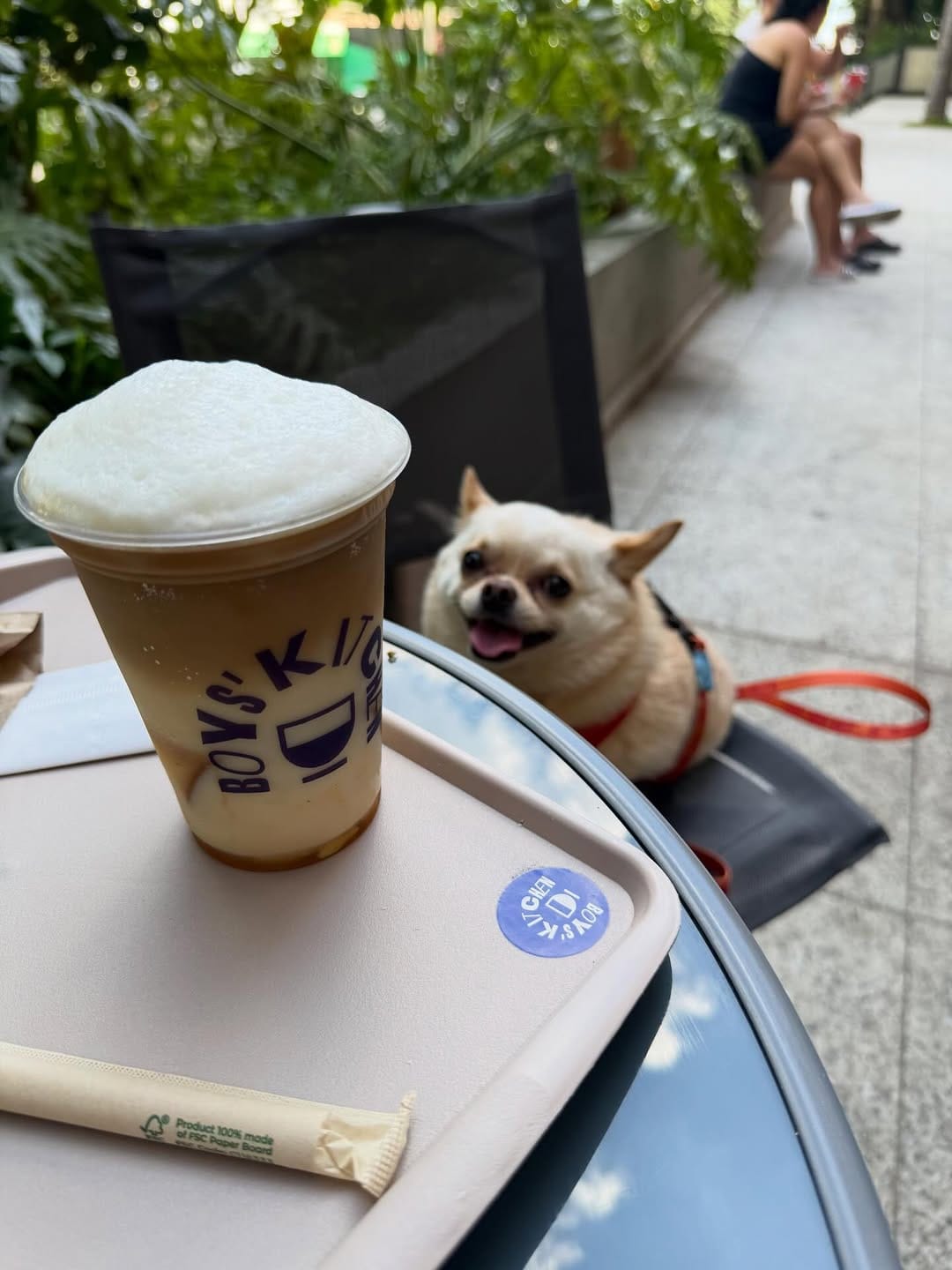 Post 5 by Raquel C. Svercl • Caju & Pickles on Instagram (carousel)