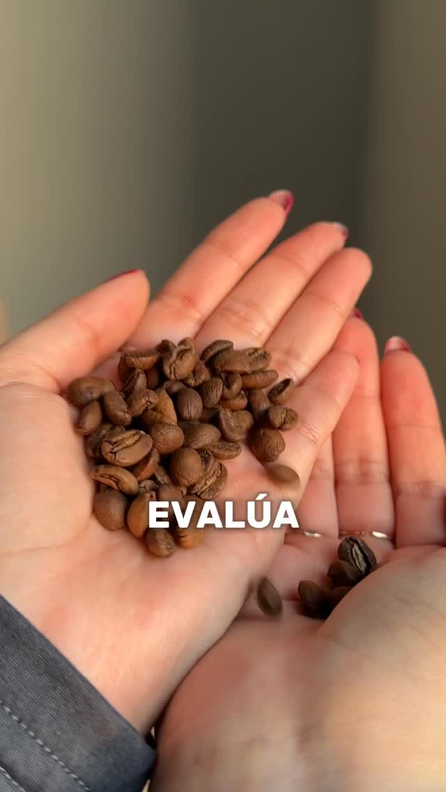 Post 7 by Khaley | Café funcional de especialidad on Instagram (video)
