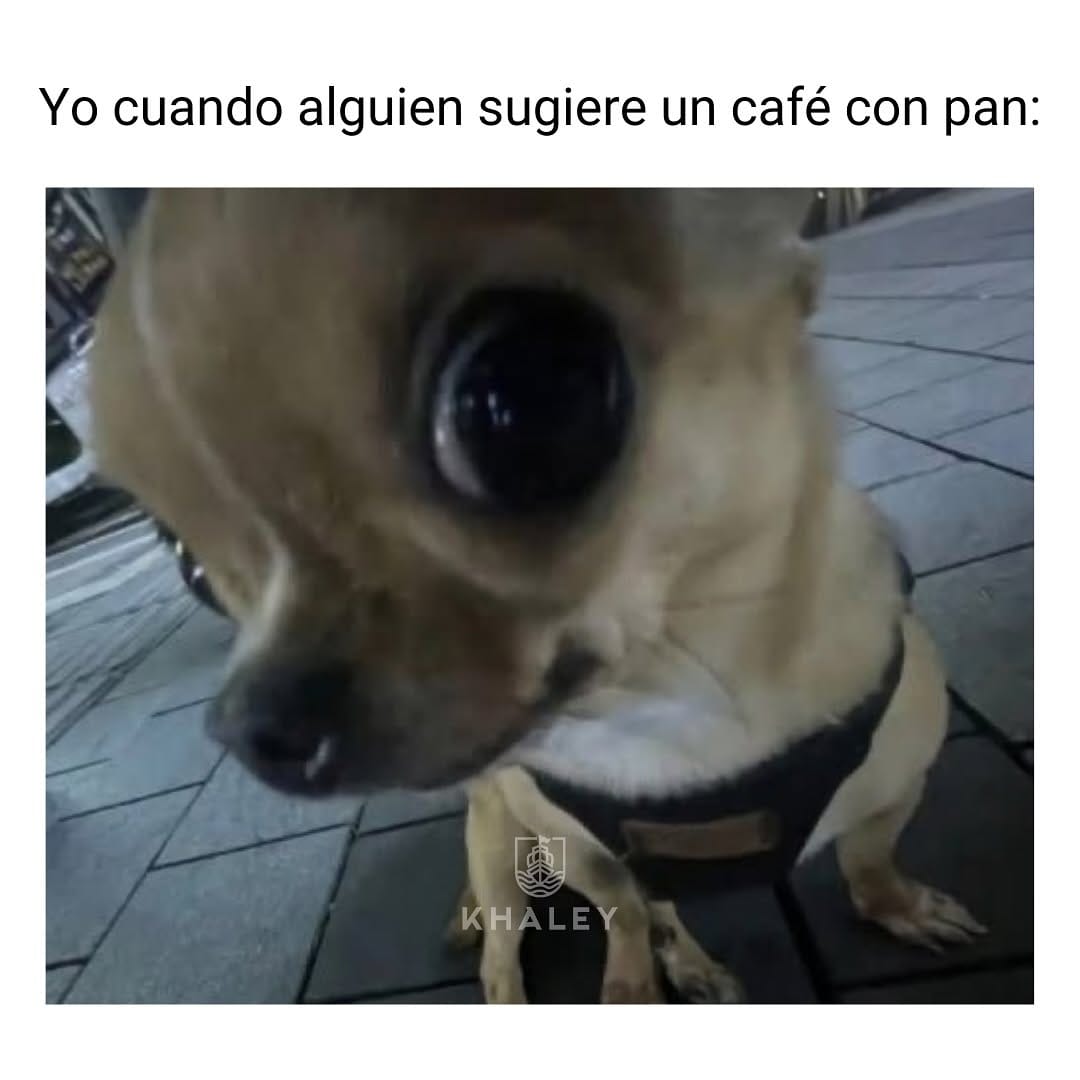 Post 10 by Khaley | Café funcional de especialidad on Instagram (image)