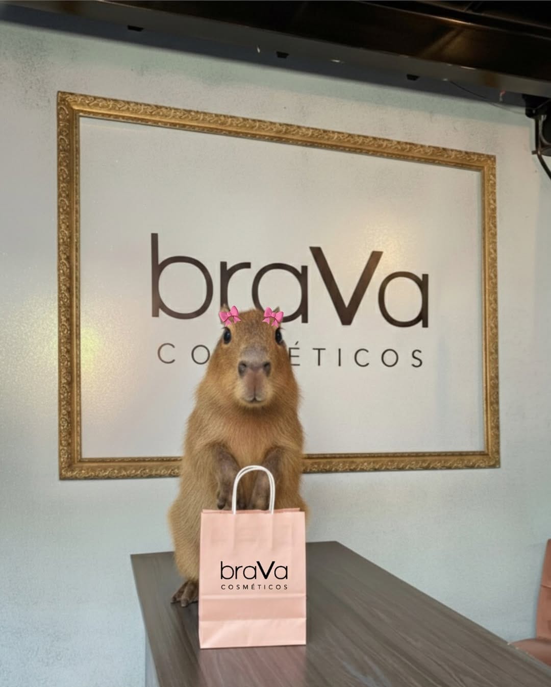 Post 1 by bra𝗩a cosméticos✨ on Instagram (carousel)