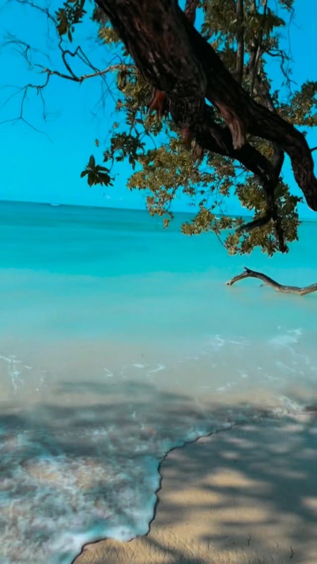 Post 9 by Nayarit Tavarez on Instagram (video)