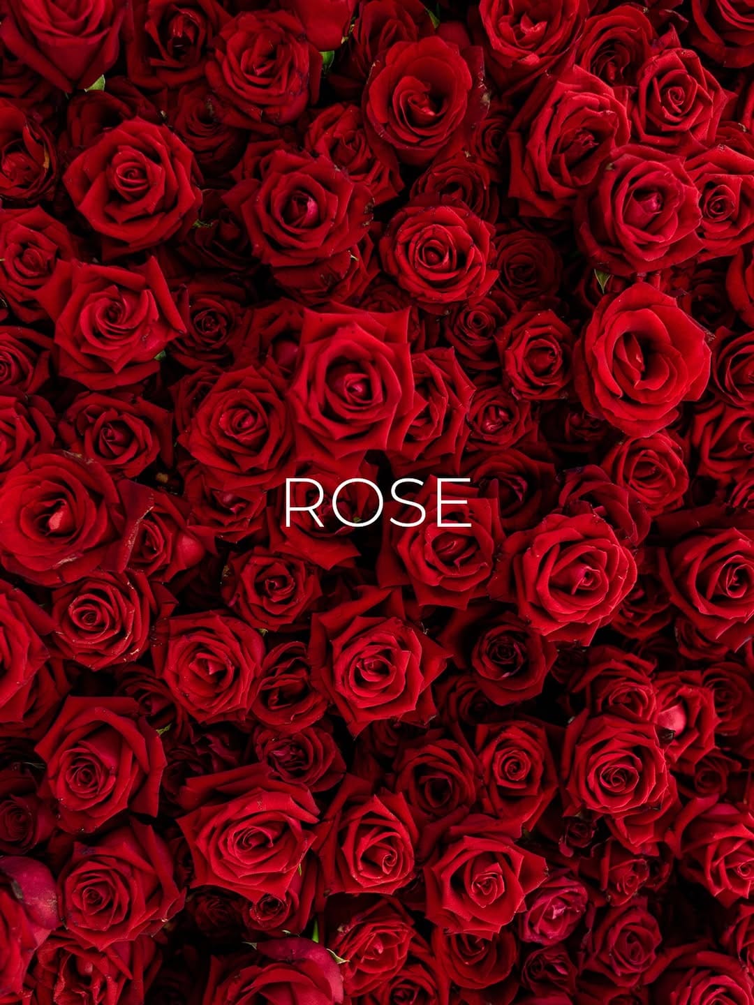 Post 3 by Zhor Parfums on Instagram (image)